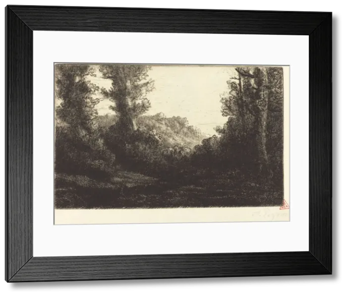 Framed Print : Edge of a Wood (Lisiere de bois). Creator: Alphonse Legros Framed Print : Edge of a Wood (Lisiere de bois). Creator: Alphonse Legros