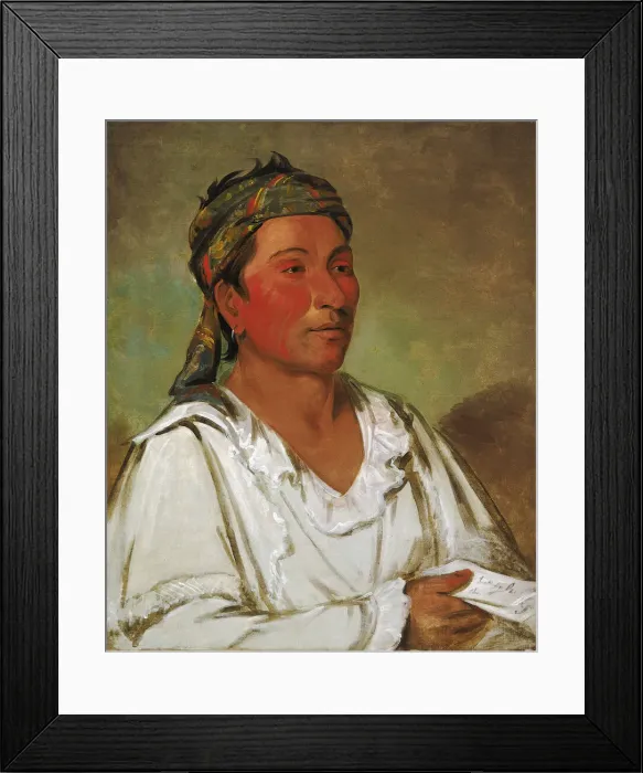 Framed Print : Lay-loo-ah-pee-ai-shee-kaw, Grass, Bush, and Blossom, Semicivilized, 1830 Framed Print : Lay-loo-ah-pee-ai-shee-kaw, Grass, Bush, and Blossom, Semicivilized, 1830