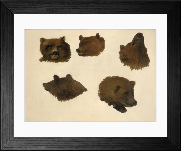 Framed Print : Portraits of Two Grizzly Bears, From Life, 1839-1840. Creator: George Catlin Framed Print : Portraits of Two Grizzly Bears, From Life, 1839-1840. Creator: George Catlin