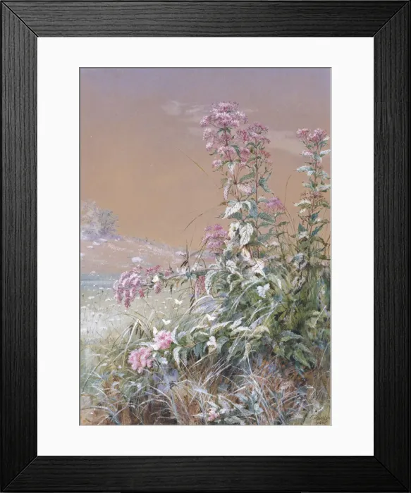 Framed Print : Untitled, 1876. Creator: Fidelia Bridges Framed Print : Untitled, 1876. Creator: Fidelia Bridges