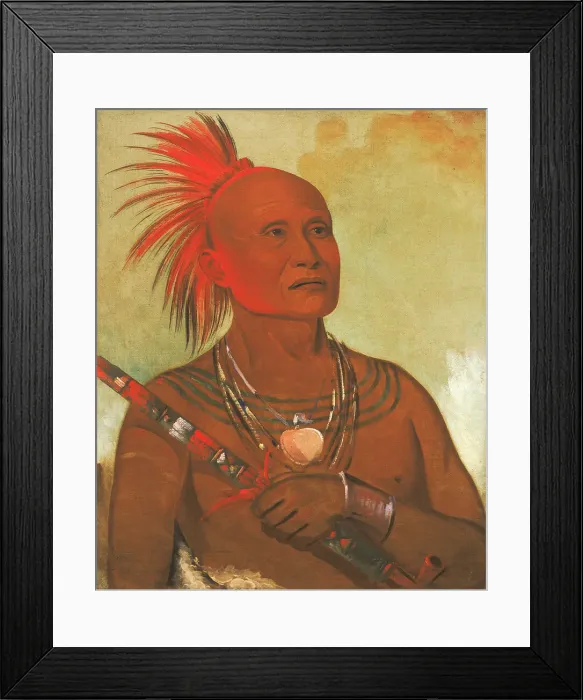 Framed Print : Pam-a-ho, The Swimmer, One of Black Hawk's Warriors, 1832. Creator: George Catlin Framed Print : Pam-a-ho, The Swimmer, One of Black Hawk's Warriors, 1832. Creator: George Catlin