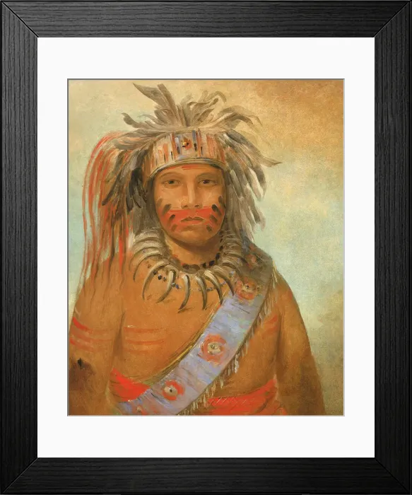Framed Print : Au-nim-muck-kwa-um, Tempest Bird, 1845. Creator: George Catlin Framed Print : Au-nim-muck-kwa-um, Tempest Bird, 1845. Creator: George Catlin