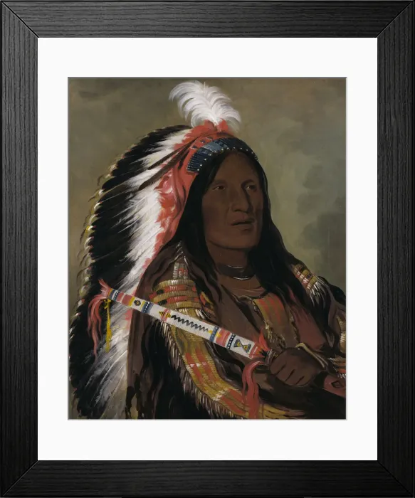 Framed Print : Tah-teck-a-da-hair, Steep Wind, a Brave of the Bad Arrow Points Band, 1832 Framed Print : Tah-teck-a-da-hair, Steep Wind, a Brave of the Bad Arrow Points Band, 1832