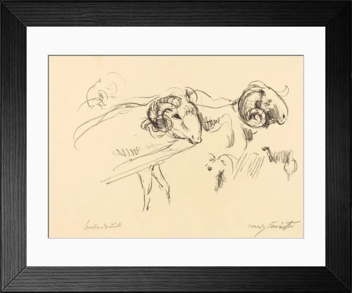 Framed Print : Schafbocke (Rams), 1912. Creator: Lovis Corinth Framed Print : Schafbocke (Rams), 1912. Creator: Lovis Corinth