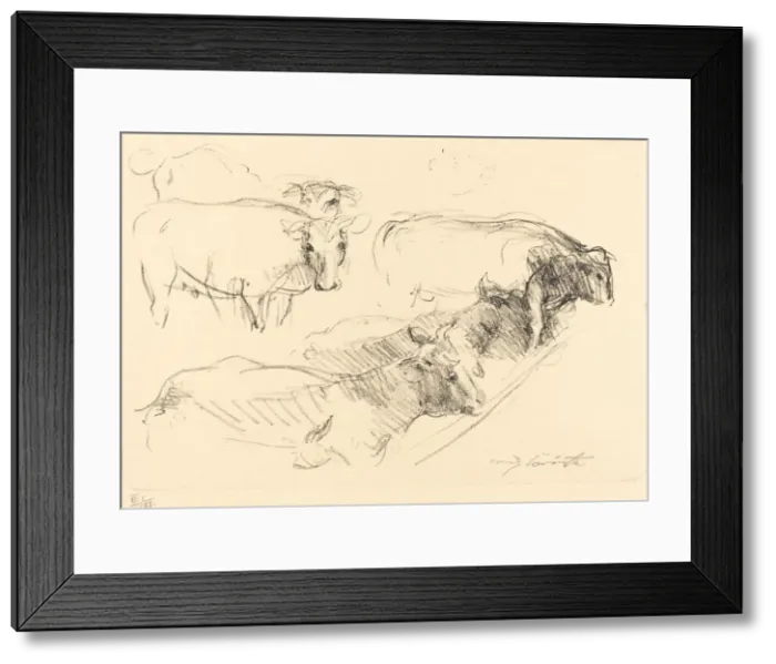 Framed Print : Kühe (Cows), 1910. Creator: Lovis Corinth Framed Print : Kühe (Cows), 1910. Creator: Lovis Corinth