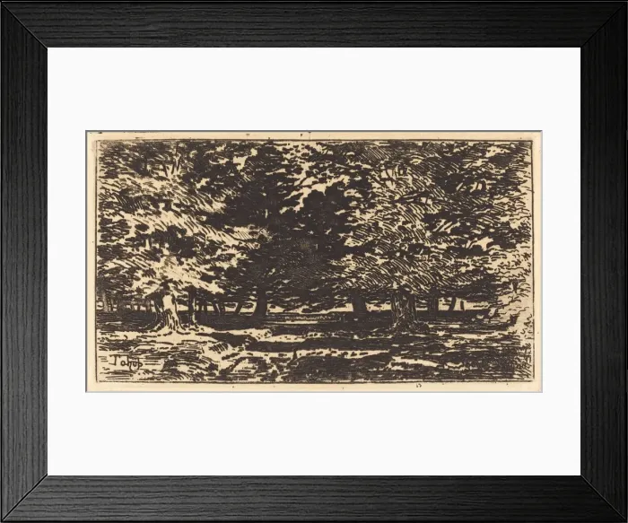 Framed Print : Foret. Creator: Felix Hilaire Buhot Framed Print : Foret. Creator: Felix Hilaire Buhot
