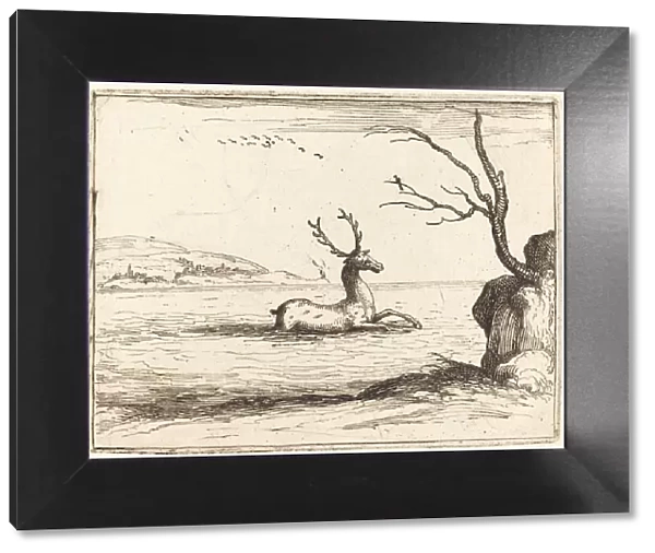 Stag in the Water, 1628. Creator: Jacques Callot