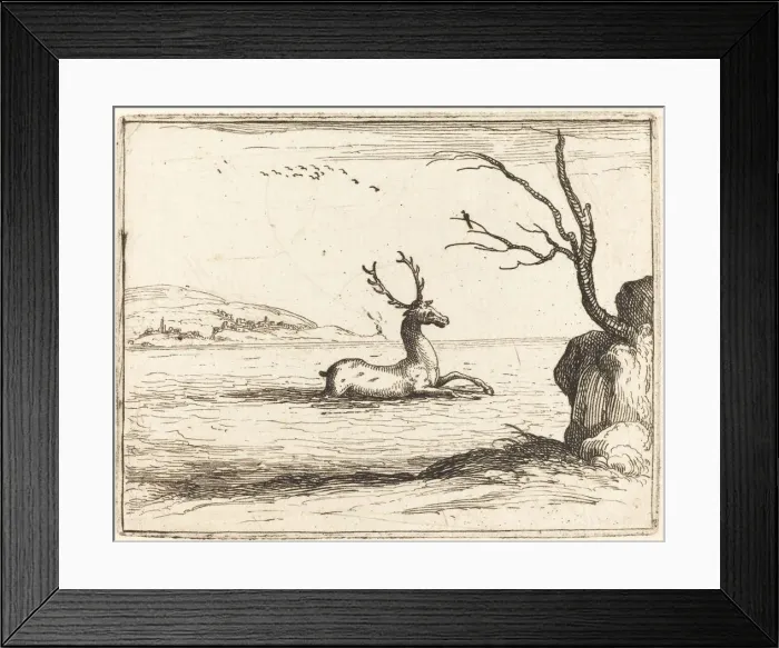 Framed Print : Stag in the Water, 1628. Creator: Jacques Callot Framed Print : Stag in the Water, 1628. Creator: Jacques Callot