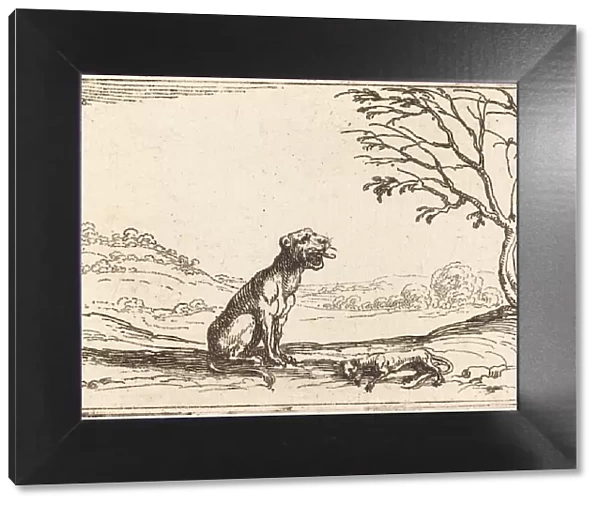 Lioness Mourning her Cub. Creator: Jacques Callot