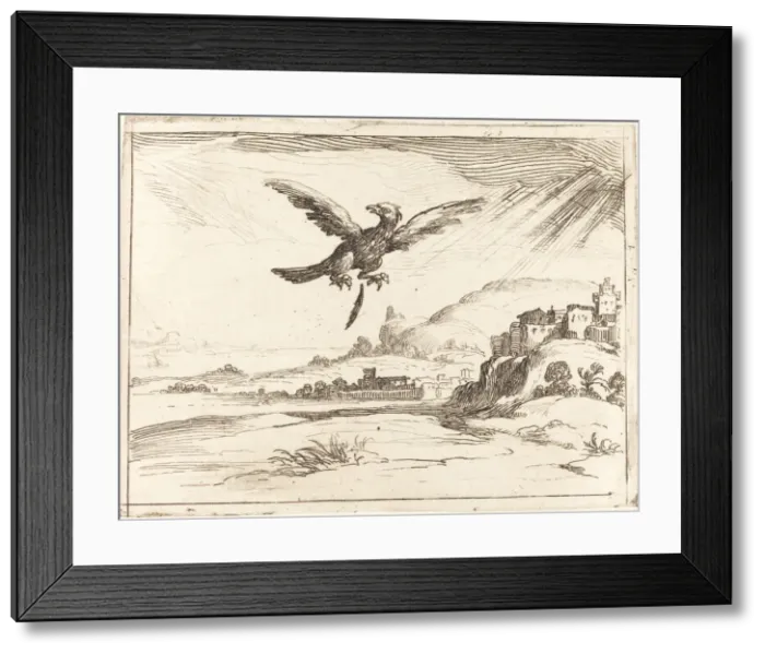 Framed Print : Eagle Losing an Old Feather, 1628. Creator: Jacques Callot Framed Print : Eagle Losing an Old Feather, 1628. Creator: Jacques Callot