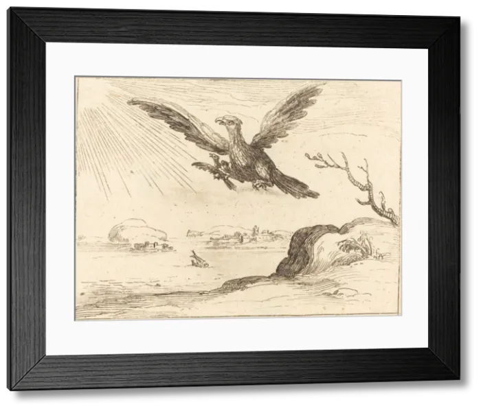 Framed Print : Eagle and Young. Creator: Jacques Callot Framed Print : Eagle and Young. Creator: Jacques Callot