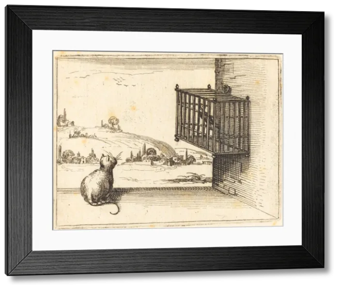 Framed Print : Cat Watching Caged Bird, 1628. Creator: Jacques Callot Framed Print : Cat Watching Caged Bird, 1628. Creator: Jacques Callot