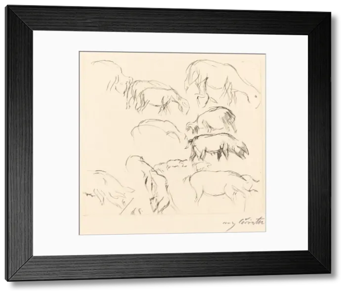 Framed Print : Verschiedene Tierstudien (Animal Studies), 1917. Creator: Lovis Corinth Framed Print : Verschiedene Tierstudien (Animal Studies), 1917. Creator: Lovis Corinth