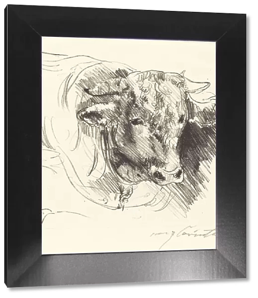 Stierkopf (Head of a Steer), 1912. Creator: Lovis Corinth