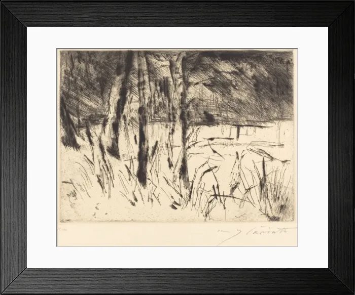 Framed Print : Tiergarten (Zoological Garden), 1922. Creator: Lovis Corinth Framed Print : Tiergarten (Zoological Garden), 1922. Creator: Lovis Corinth