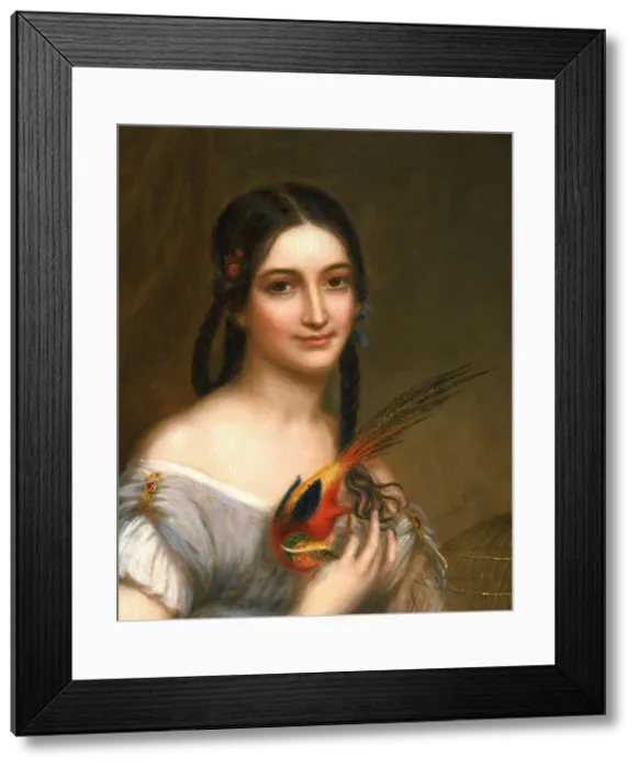 Framed Print : Miss Satterlee, ca. 1830-1839. Creator: Charles Bird King Framed Print : Miss Satterlee, ca. 1830-1839. Creator: Charles Bird King