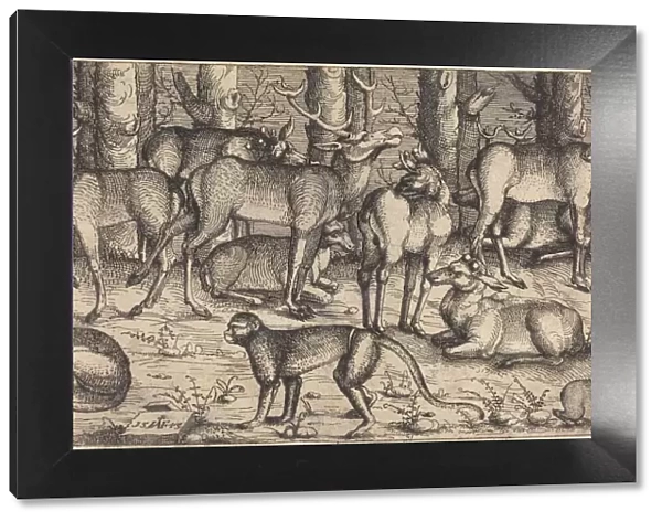Stags in the Forest, 1545. Creator: Augustin Hirschvogel