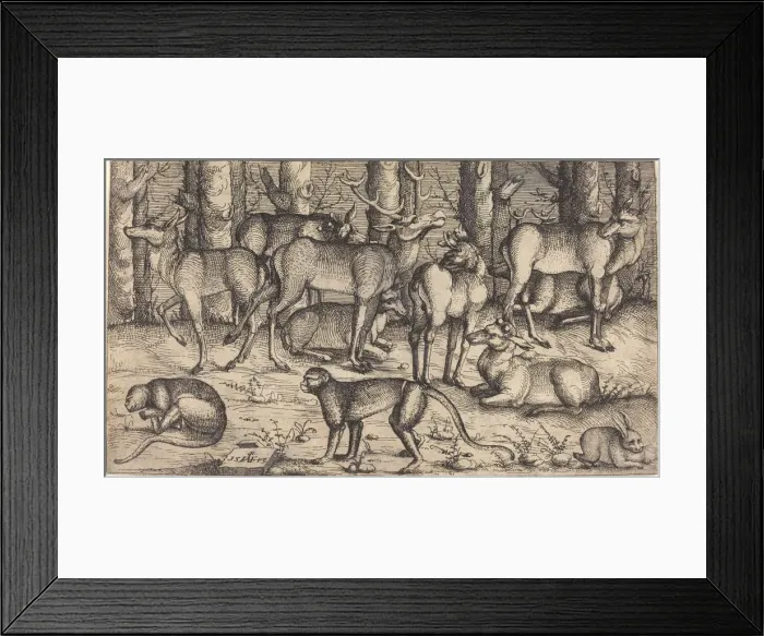 Framed Print : Stags in the Forest, 1545. Creator: Augustin Hirschvogel Framed Print : Stags in the Forest, 1545. Creator: Augustin Hirschvogel