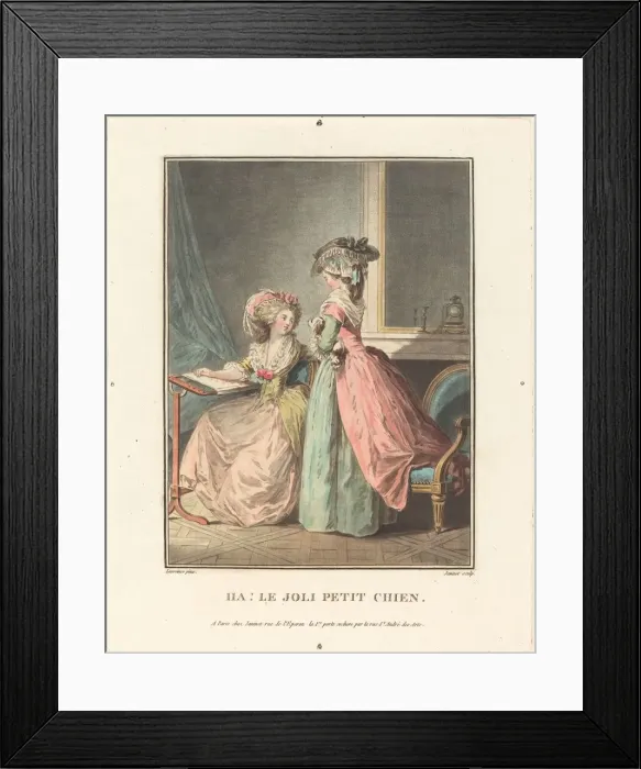 Framed Print : Ha! La joli petit chien. Creator: Jean Francois Janinet Framed Print : Ha! La joli petit chien. Creator: Jean Francois Janinet