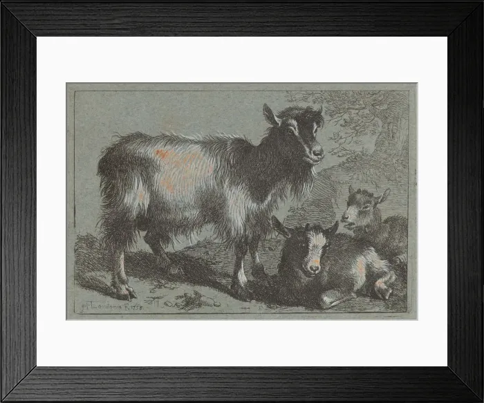 Framed Print : Goat and Two Kids, 1758. Creator: Francesco Londonio Framed Print : Goat and Two Kids, 1758. Creator: Francesco Londonio