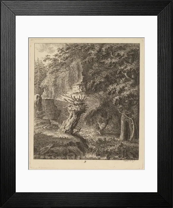 Framed Print : Wooded Landscape with a Pollarded Tree, 1764. Creator: Salomon Gessner Framed Print : Wooded Landscape with a Pollarded Tree, 1764. Creator: Salomon Gessner
