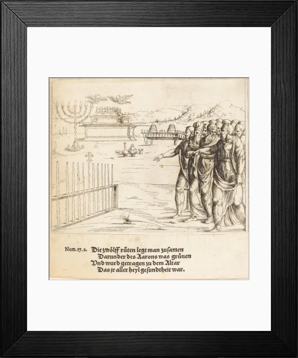 Framed Print : The Blossoming of Aarons Rod. Creator: Augustin Hirschvogel