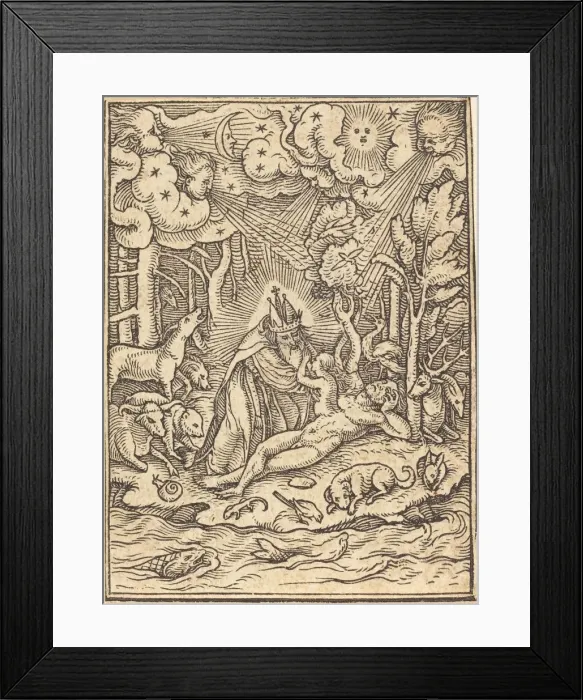 Framed Print : The Creation. Creator: Hans Holbein the Younger Framed Print : The Creation. Creator: Hans Holbein the Younger