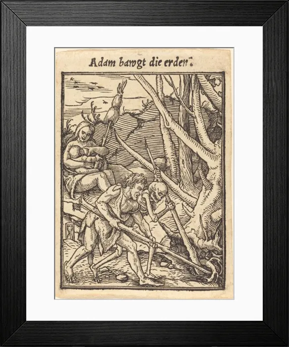 Framed Print : Adam bawgt die erden. Creator: Hans Holbein the Younger Framed Print : Adam bawgt die erden. Creator: Hans Holbein the Younger