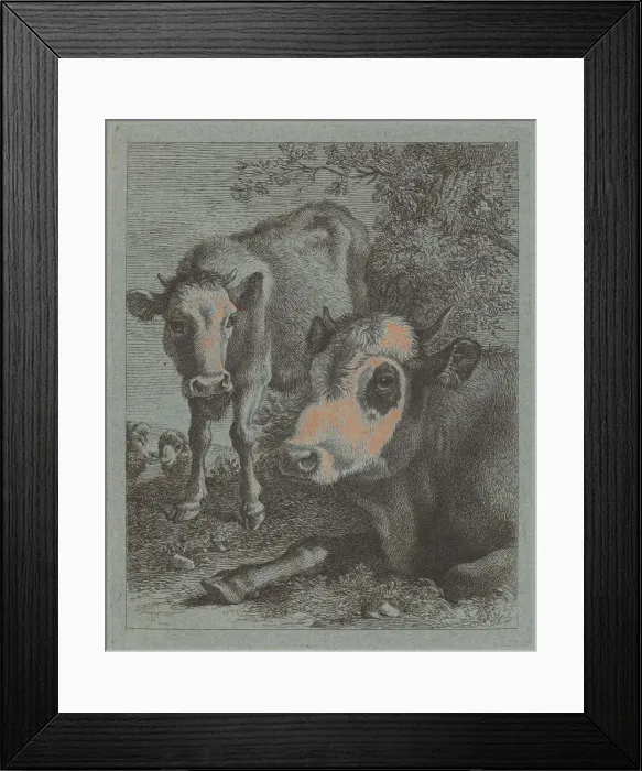 Framed Print : Reclining Cow and Calf in the Open, 1758 / 1759. Creator: Francesco Londonio Framed Print : Reclining Cow and Calf in the Open, 1758 / 1759. Creator: Francesco Londonio