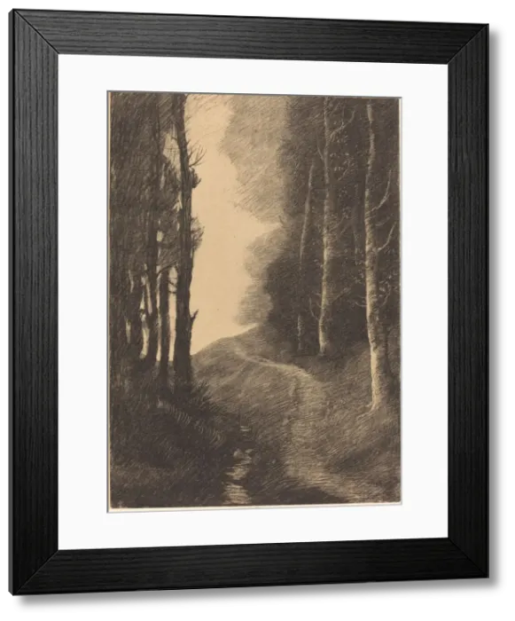Framed Print : Landscape with Birch Trees (Le paysage aux bouleaux). Creator: Alphonse Legros Framed Print : Landscape with Birch Trees (Le paysage aux bouleaux). Creator: Alphonse Legros