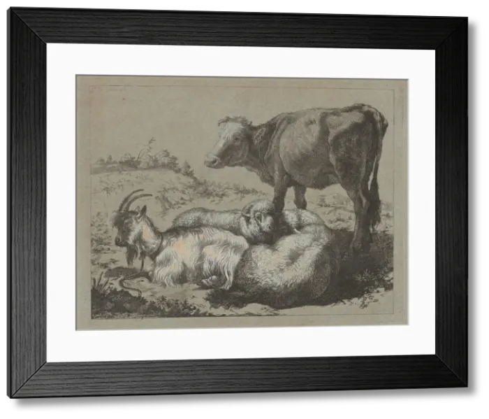 Framed Print : Standing Ox, Two Sheep, and a Goat, c. 1762. Creator: Francesco Londonio Framed Print : Standing Ox, Two Sheep, and a Goat, c. 1762. Creator: Francesco Londonio