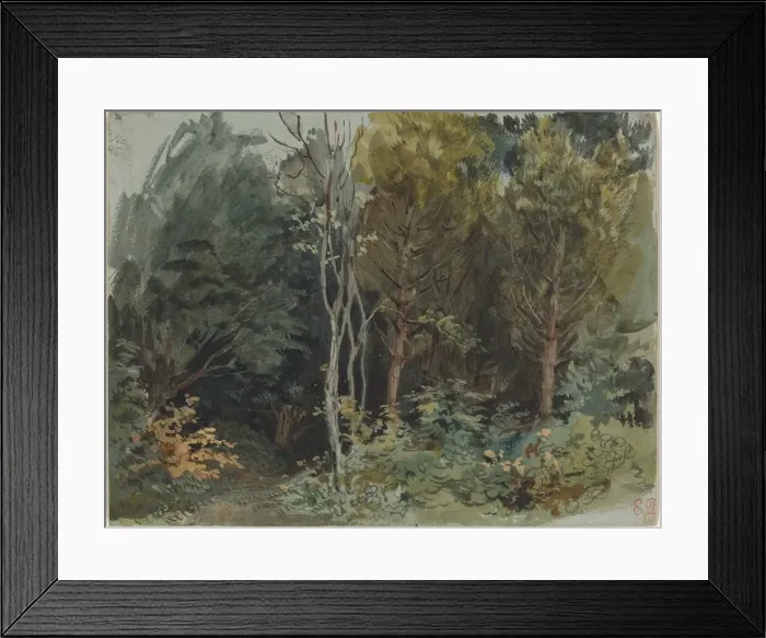 Framed Print : The Edge of a Wood at Nohant, c. 1842 / 1843. Creator: Eugene Delacroix Framed Print : The Edge of a Wood at Nohant, c. 1842 / 1843. Creator: Eugene Delacroix