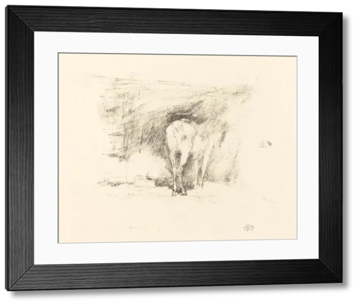 Framed Print : Study of a Horse, 1895. Creator: James Abbott McNeill Whistler Framed Print : Study of a Horse, 1895. Creator: James Abbott McNeill Whistler