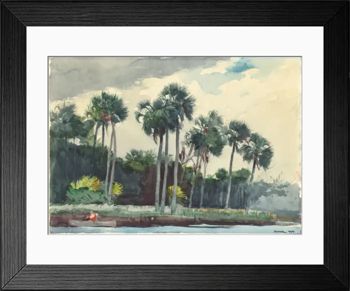 Framed Print : Red Shirt, Homosassa, Florida, 1904. Creator: Winslow Homer Framed Print : Red Shirt, Homosassa, Florida, 1904. Creator: Winslow Homer