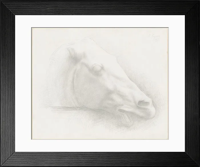 Framed Print : Head of a Horse from the Parthenon, 1898. Creator: Alphonse Legros Framed Print : Head of a Horse from the Parthenon, 1898. Creator: Alphonse Legros