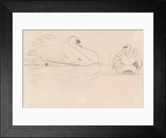 Framed Print : Swans in the Water, 1880-1900. Creator: John Singer Sargent Framed Print : Swans in the Water, 1880-1900. Creator: John Singer Sargent