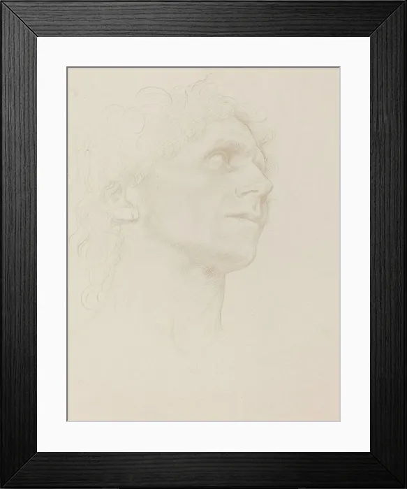 Framed Print : Study of Womans Head, Turned Right. Creator: Alphonse Legros Framed Print : Study of Womans Head, Turned Right. Creator: Alphonse Legros