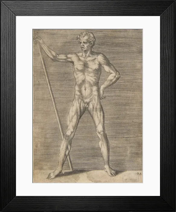 Framed Print : Flayed man seen from in front, holding a stick, ca. 1531-76. Creator: Giulio Bonasone Framed Print : Flayed man seen from in front, holding a stick, ca. 1531-76. Creator: Giulio Bonasone