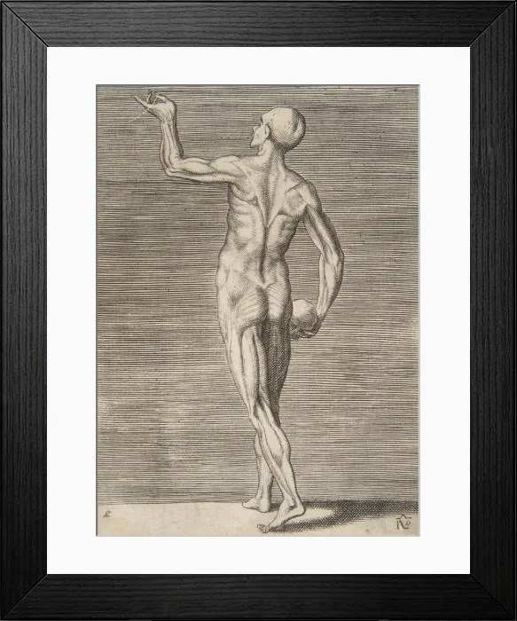 Framed Print : Man seen from the Back, holding a Skull in his right Hand, 16th century Framed Print : Man seen from the Back, holding a Skull in his right Hand, 16th century