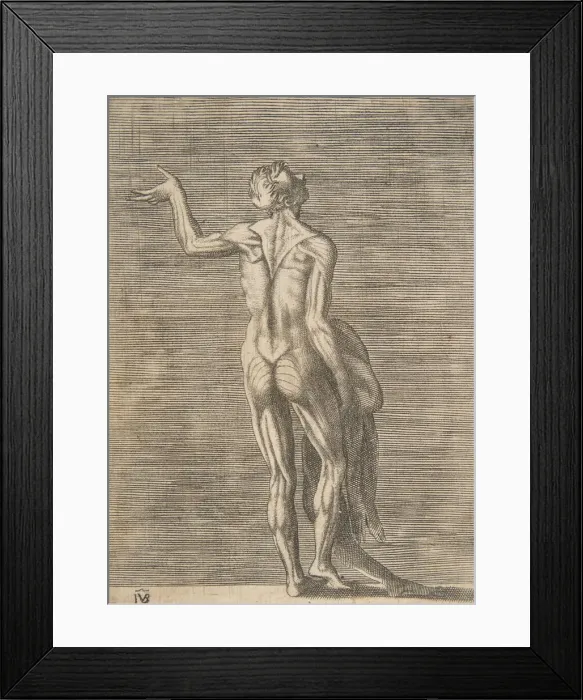 Framed Print : Flayed man with left hand on hip, holding skin in right hand, ca. 1531-76 Framed Print : Flayed man with left hand on hip, holding skin in right hand, ca. 1531-76