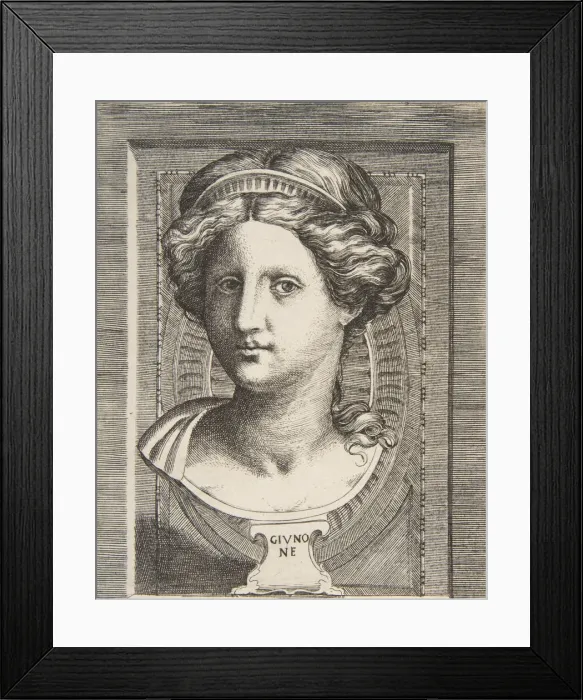 Framed Print : Sculpted head of Juno, ca 1531-76. Creator: Giulio Bonasone Framed Print : Sculpted head of Juno, ca 1531-76. Creator: Giulio Bonasone