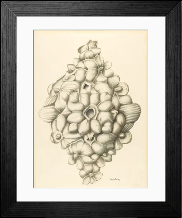 Framed Print : Bishop Hill: Ceiling Decoration, 1939. Creator: H. Langden Brown Framed Print : Bishop Hill: Ceiling Decoration, 1939. Creator: H. Langden Brown