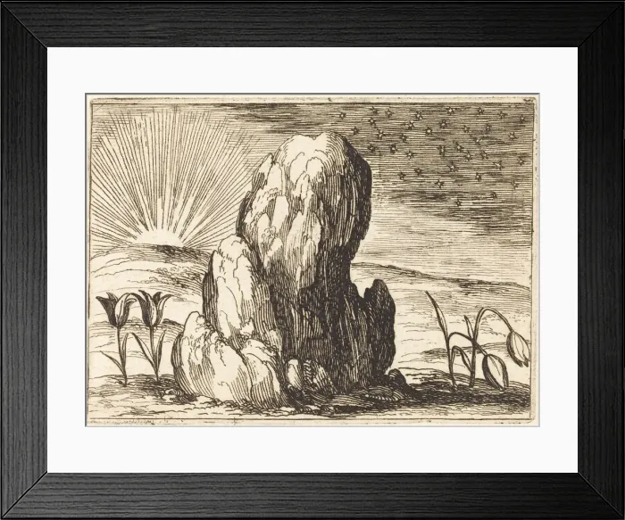 Framed Print : The Tulips and the Sun, 1628. Creator: Jacques Callot Framed Print : The Tulips and the Sun, 1628. Creator: Jacques Callot