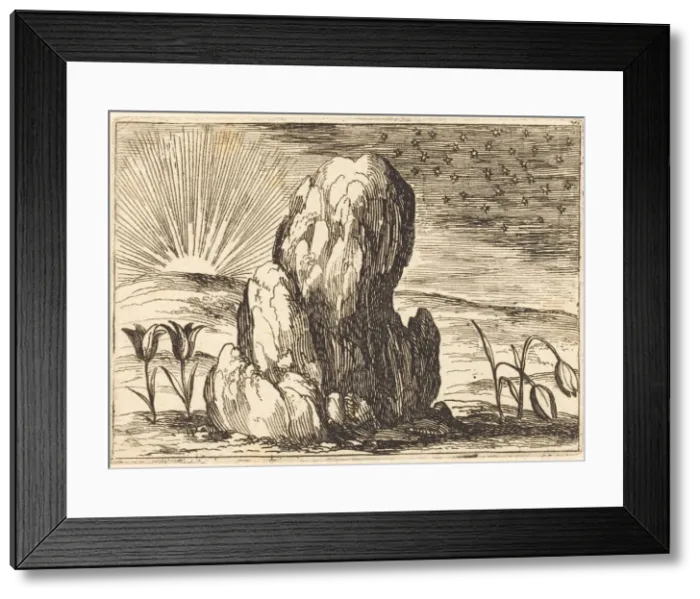 Framed Print : The Tulips and the Sun, 1628. Creator: Jacques Callot Framed Print : The Tulips and the Sun, 1628. Creator: Jacques Callot