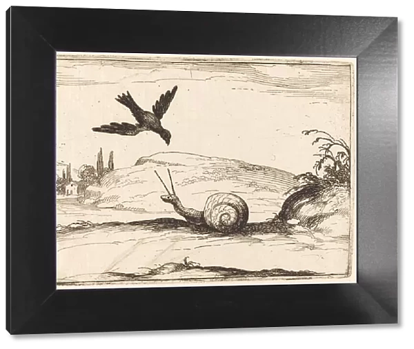 Crow and Snail, 1628. Creator: Jacques Callot