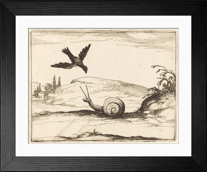 Framed Print : Crow and Snail, 1628. Creator: Jacques Callot Framed Print : Crow and Snail, 1628. Creator: Jacques Callot