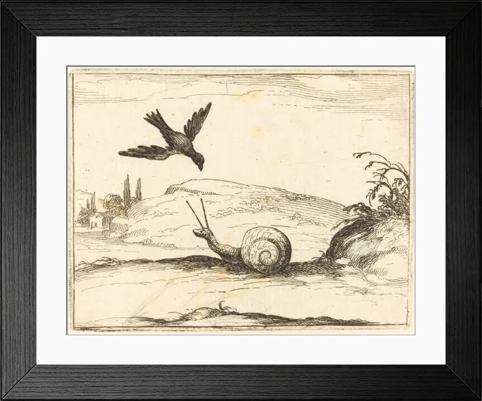 Framed Print : Crow and Snail, 1628. Creator: Jacques Callot Framed Print : Crow and Snail, 1628. Creator: Jacques Callot