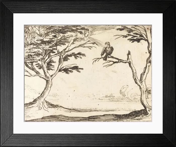 Framed Print : The Vulture. Creator: Jacques Callot Framed Print : The Vulture. Creator: Jacques Callot
