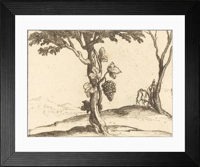 Framed Print : Bunch of Grapes. Creator: Jacques Callot Framed Print : Bunch of Grapes. Creator: Jacques Callot