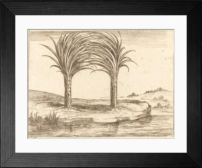 Framed Print : Two Palm Trees. Creator: Jacques Callot Framed Print : Two Palm Trees. Creator: Jacques Callot